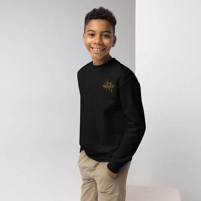 Sweat classique enfant Unisexe en Gildan 18000B Prestige™ Noir et Or NEW STYLE - Prestige SXM